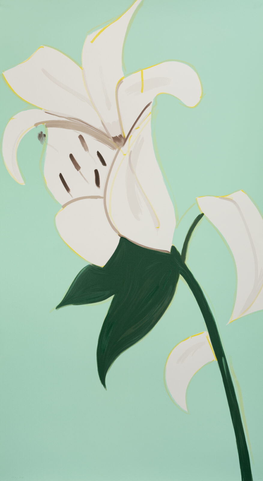 White Lilies 3