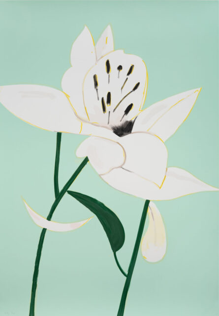 White Lilies 4