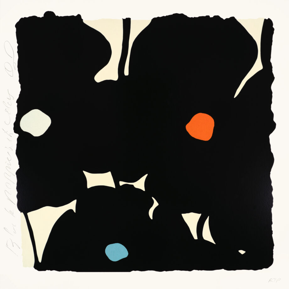 Black Poppies with Colors