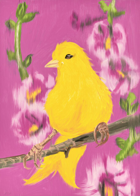 Little Yello Fello