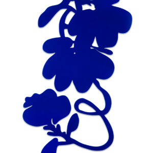 Sultan-Blue-Flocked-Lantern-Flowers-2023