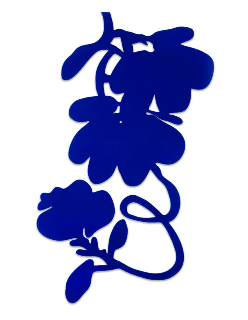 Blue Flocked Lantern Flowers, 2023