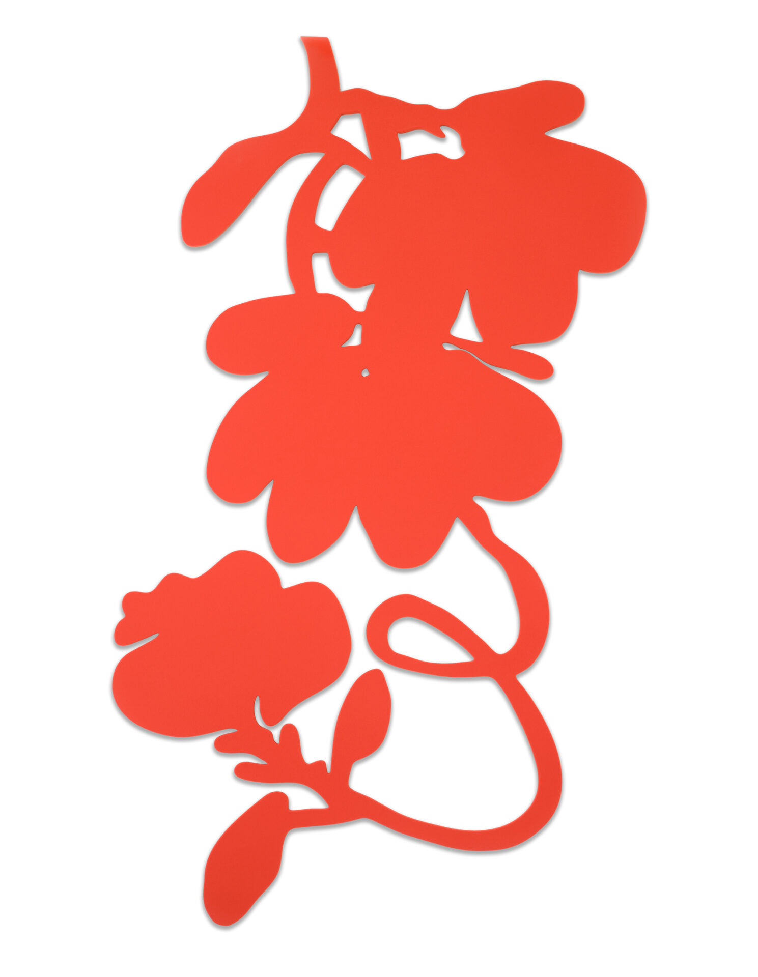 Red Flocked Lantern Flowers, 2023