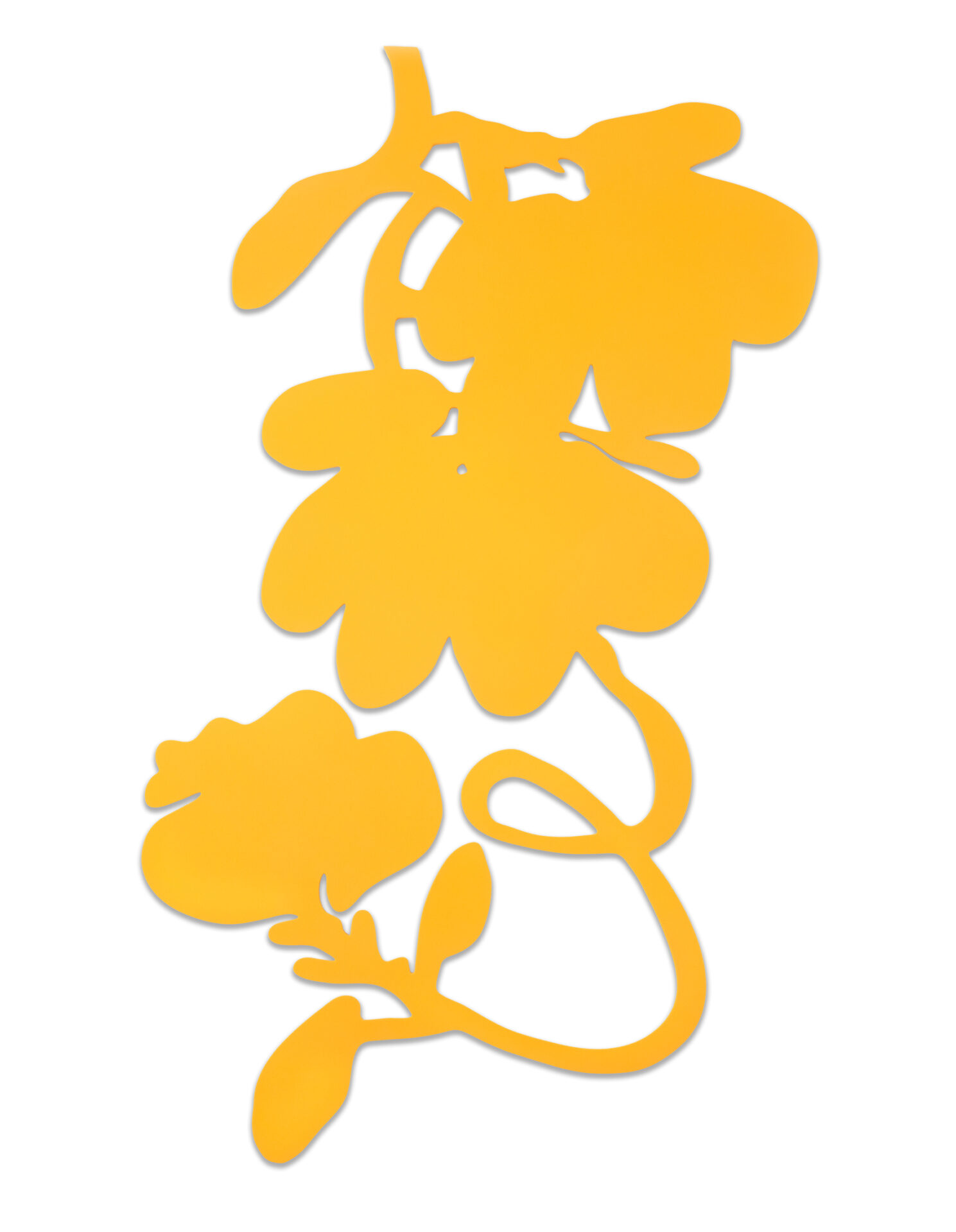 Yellow Flocked Lantern Flowers, 2023
